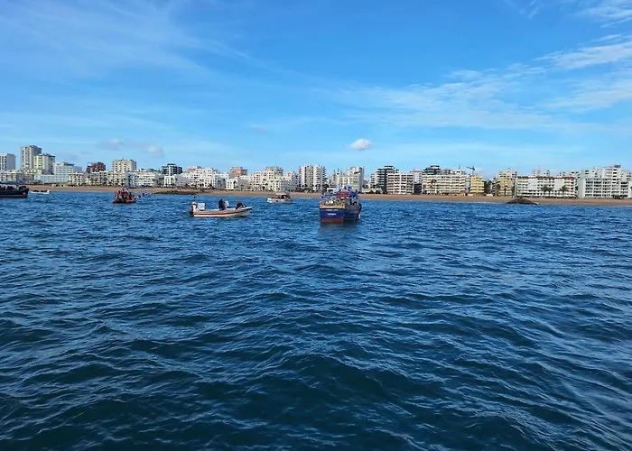 Apartment Casa Cardoso